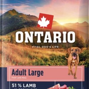 Ontario adult lam bruine rijst - large breed
