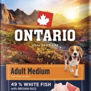 Ontario adult witte vis bruine rijst - medium