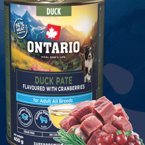 Ontario Adult Eendenpaté met Cranberry's